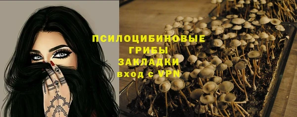 индика Карпинск